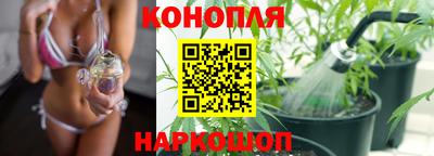 a pvp Краснознаменск