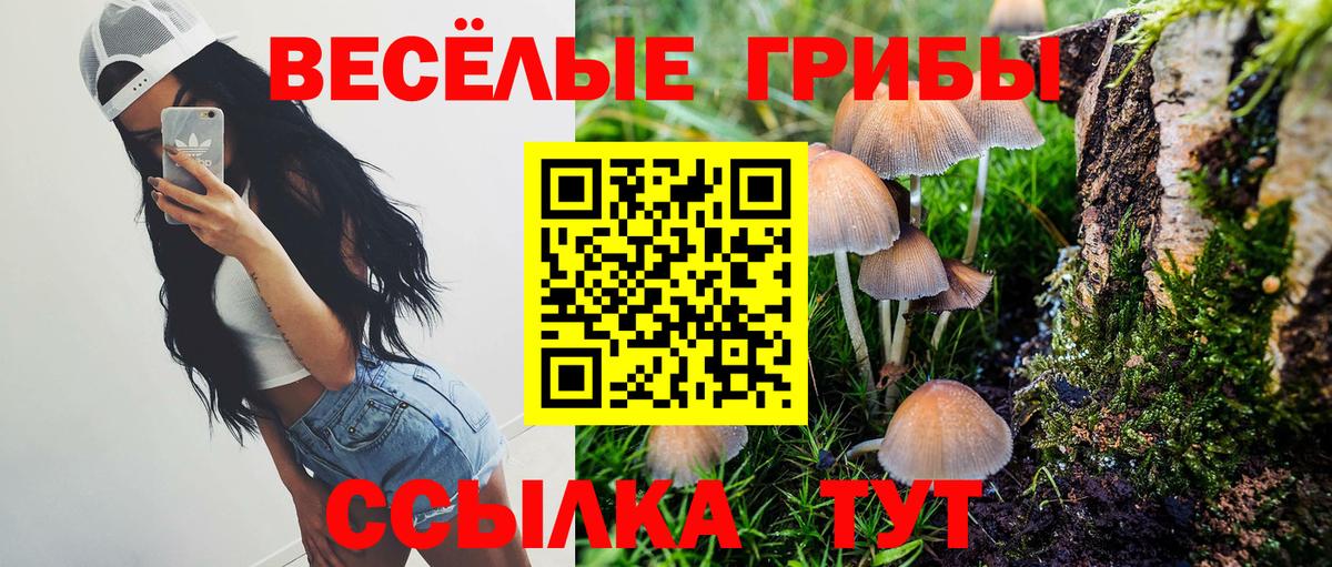 Валуйки  Псилоцибиновые грибы Psilocybine cubensis  Вход с VPN 